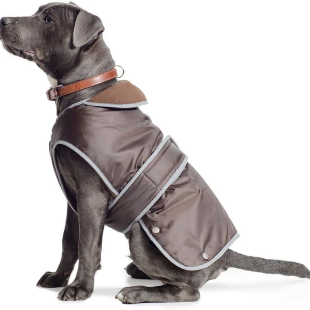 Ancol 35cm Small/Medium Chocolate Stormguard Dog Coat