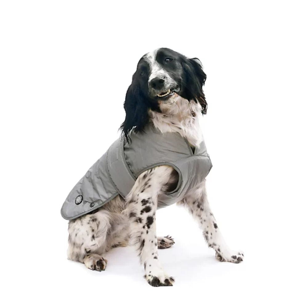 Ancol Ultimate Reflective Dog Coat - XXL