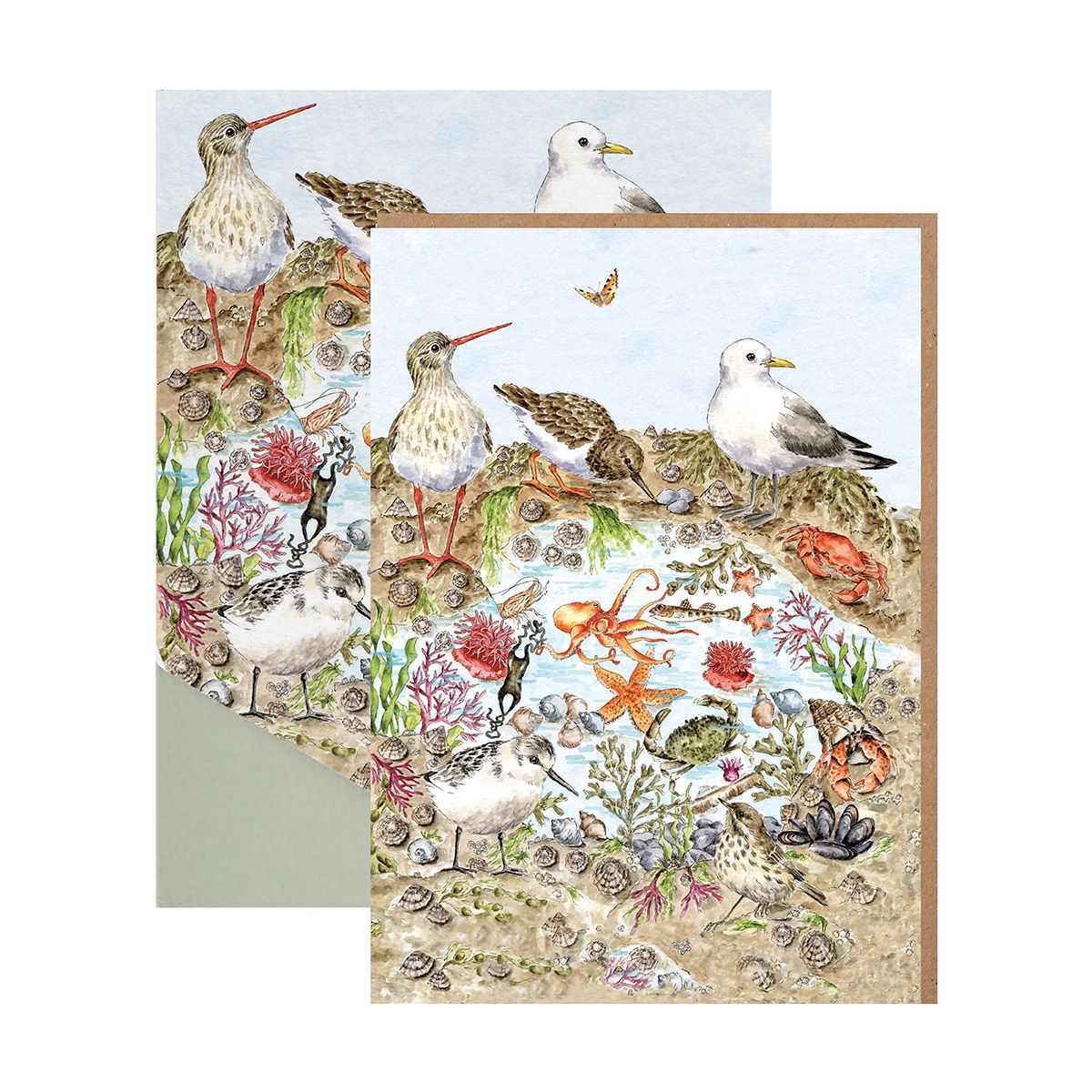 Wrendale 'Secrets of the Sea' Nature Notecard Pack