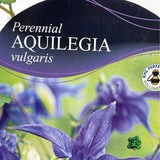 Aquilegia Vulgaris Plant - 1Ltr Pot