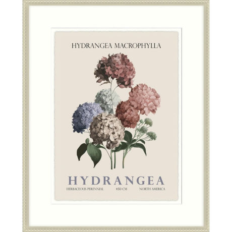 Artko 42cm Hydrangea Framed Print By Christopher Glampleto - Old Railway Line Garden Centre