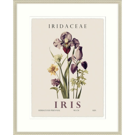 Artko 42cm Iris Framed Print By Christopher Glampleto - Old Railway Line Garden Centre