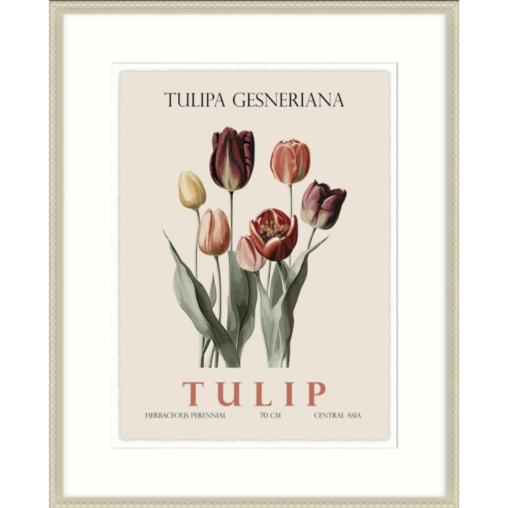 Artko 42cm Tulip Framed Print By Christopher Glampleto - Old Railway Line Garden Centre