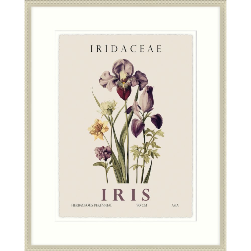 Artko 42cm Iris Framed Print By Christopher Glampleto