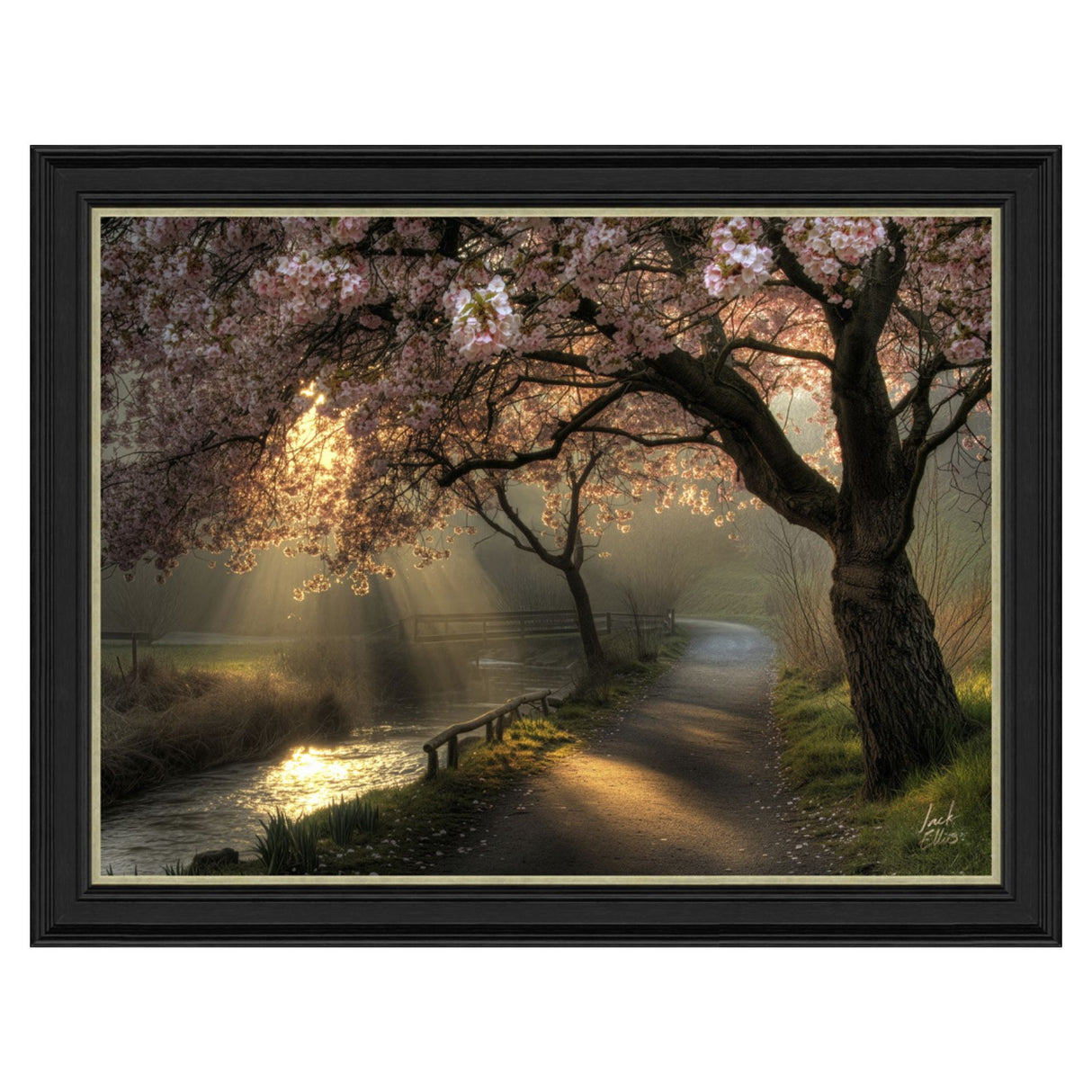Artko 90cm Hand Finished 'Golden Hour Blossom' Framed Print by Jack Ellis