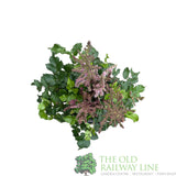 Astilbe 'Purple Rain' Plant - 3Ltr Pot