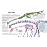 Awesome Animal Evolution by Dr Nick Crumpton - Old Railway Line Garden Centre