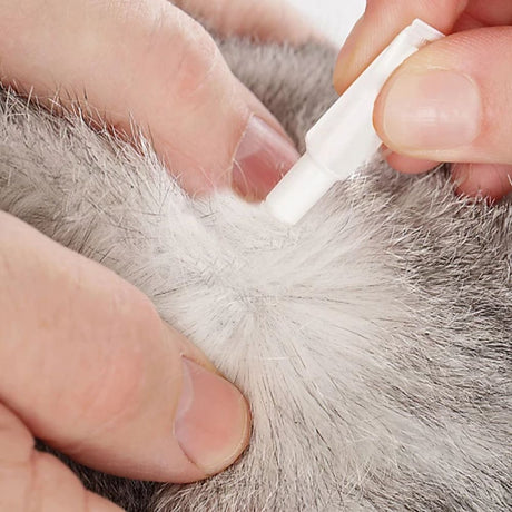 Beaphar Fiprotec Cat Flea & Tic Treatment