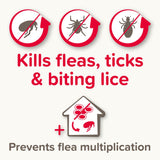 Beaphar Fiprotec Flea & Tick Spot on for Medium Dogs