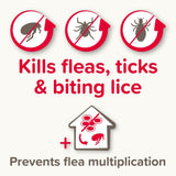 Beaphar Fiprotec Flea & Tick Spot on for Medium Dogs - Old Railway Line Garden Centre