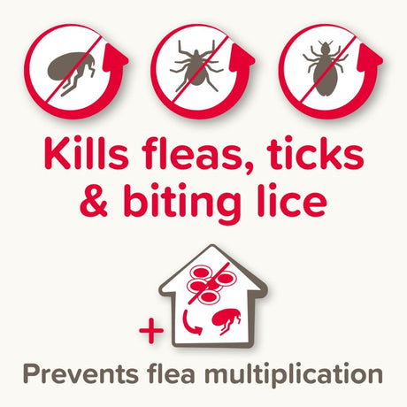 Beaphar Fiprotec Flea & Tick Spot on for Medium Dogs - Old Railway Line Garden Centre