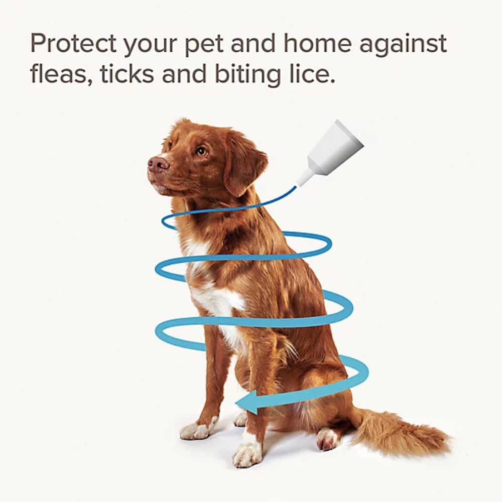 Beaphar Fiprotec Large Dog Flea & Tic Treatment