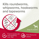 Beaphar Wormclear Worming Tablets for Large Dogs (4 Tablets) - Old Railway Line Garden Centre