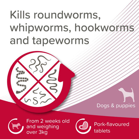 Beaphar Wormclear Worming Tablets for Small & Medium Dogs (2 Tablets)