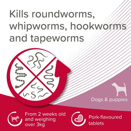 Beaphar Wormclear Worming Tablets for Small & Medium Dogs (2 Tablets) - Old Railway Line Garden Centre