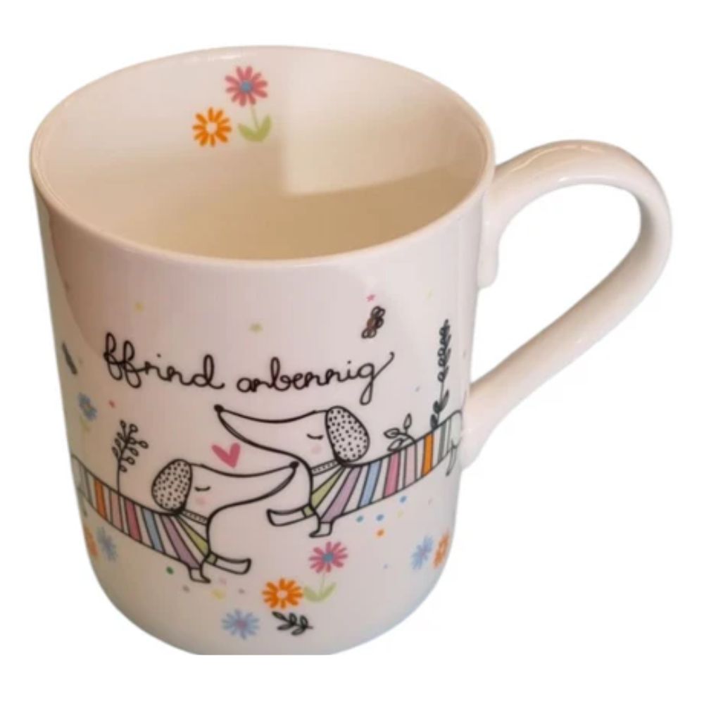 Belly Button 'Ffrind Arbennig' Fine Bone China Mug