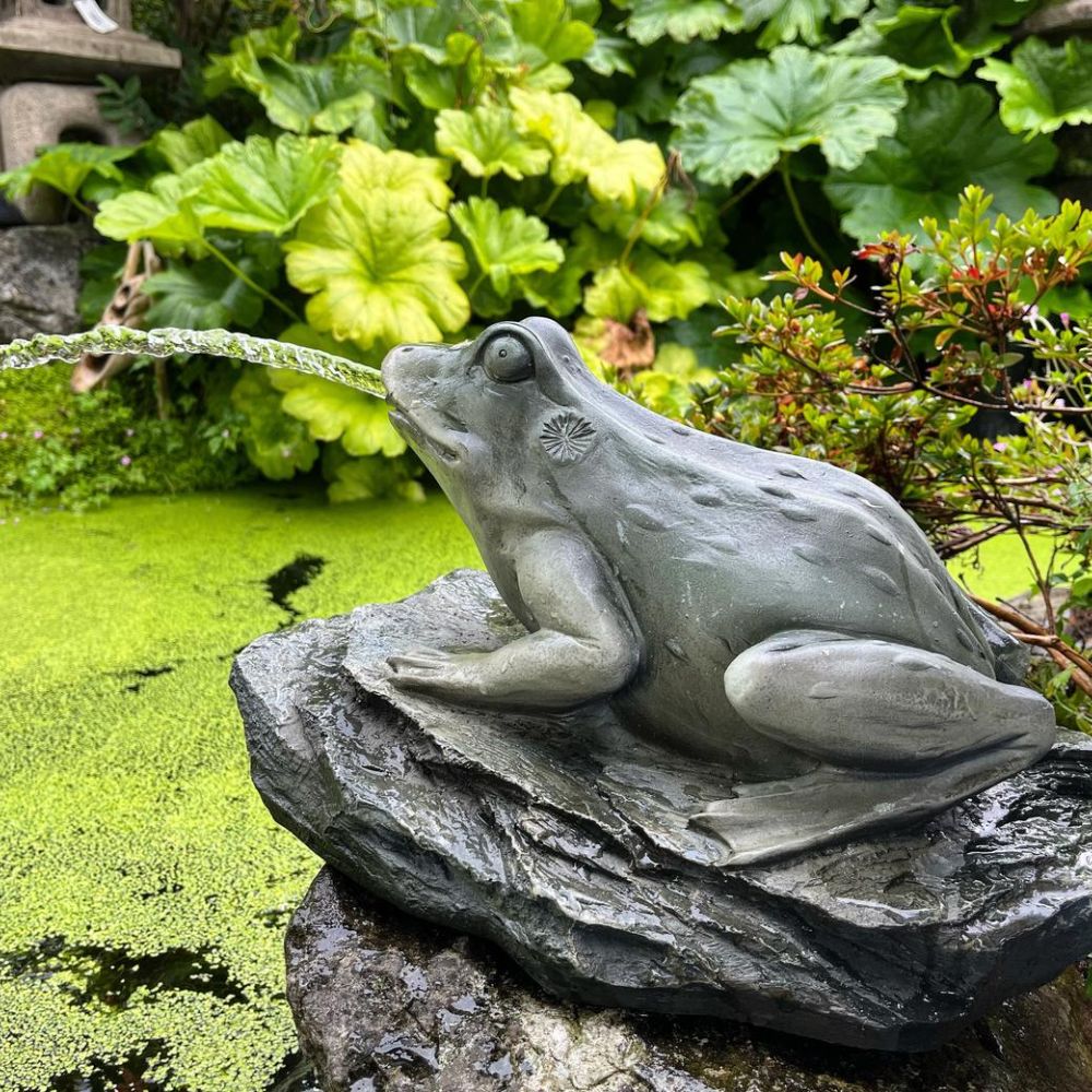 Bermuda 30cm Frog On Lilypad Pond Ornament