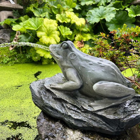 Bermuda 30cm Frog On Lilypad Pond Ornament