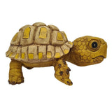 Betta Baby Turtle Aquarium Ornament - Old Railway Line Garden Centre