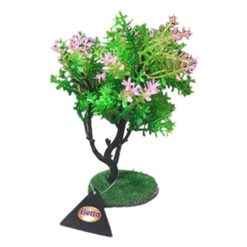 Betta Choice 17cm Summer Tree - Old Railway Line Garden Centre
