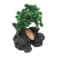 Betta Choice 19cm Bonsai With Plant Aquarium Decoration - Old Railway Line Garden Centre