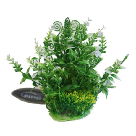 Betta Choice 5" Green & White Plant - Old Railway Line Garden Centre