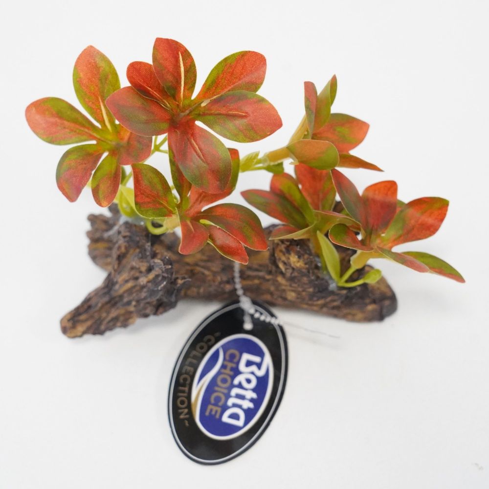 Betta Choice 5" Red & Green Plant on Driftwood Aquarium Ornament