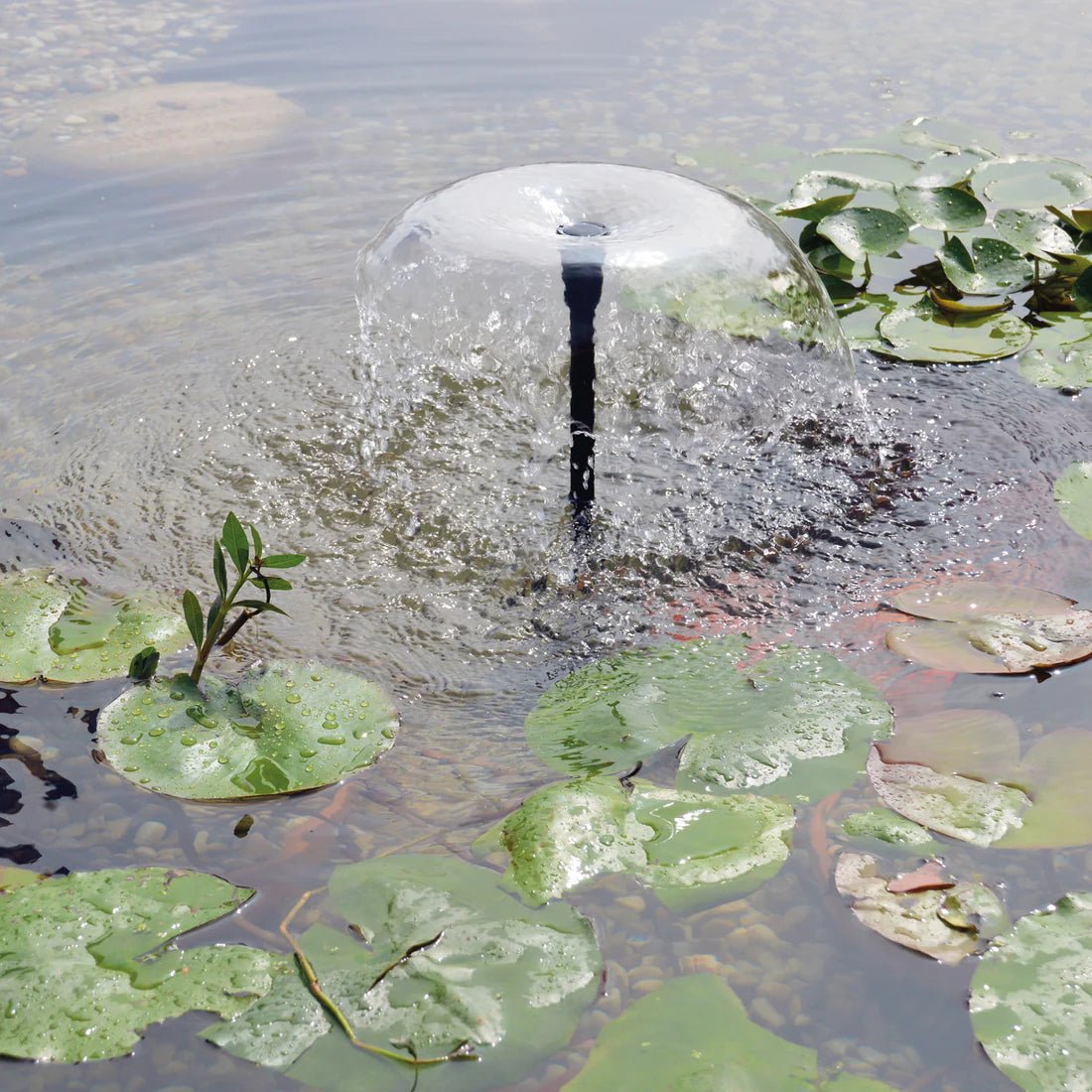Betta Choice - Solar 700 - Solar Fountain Pump Set - Old Railway Line Garden Centre