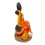 Betta Octopus on Anchor