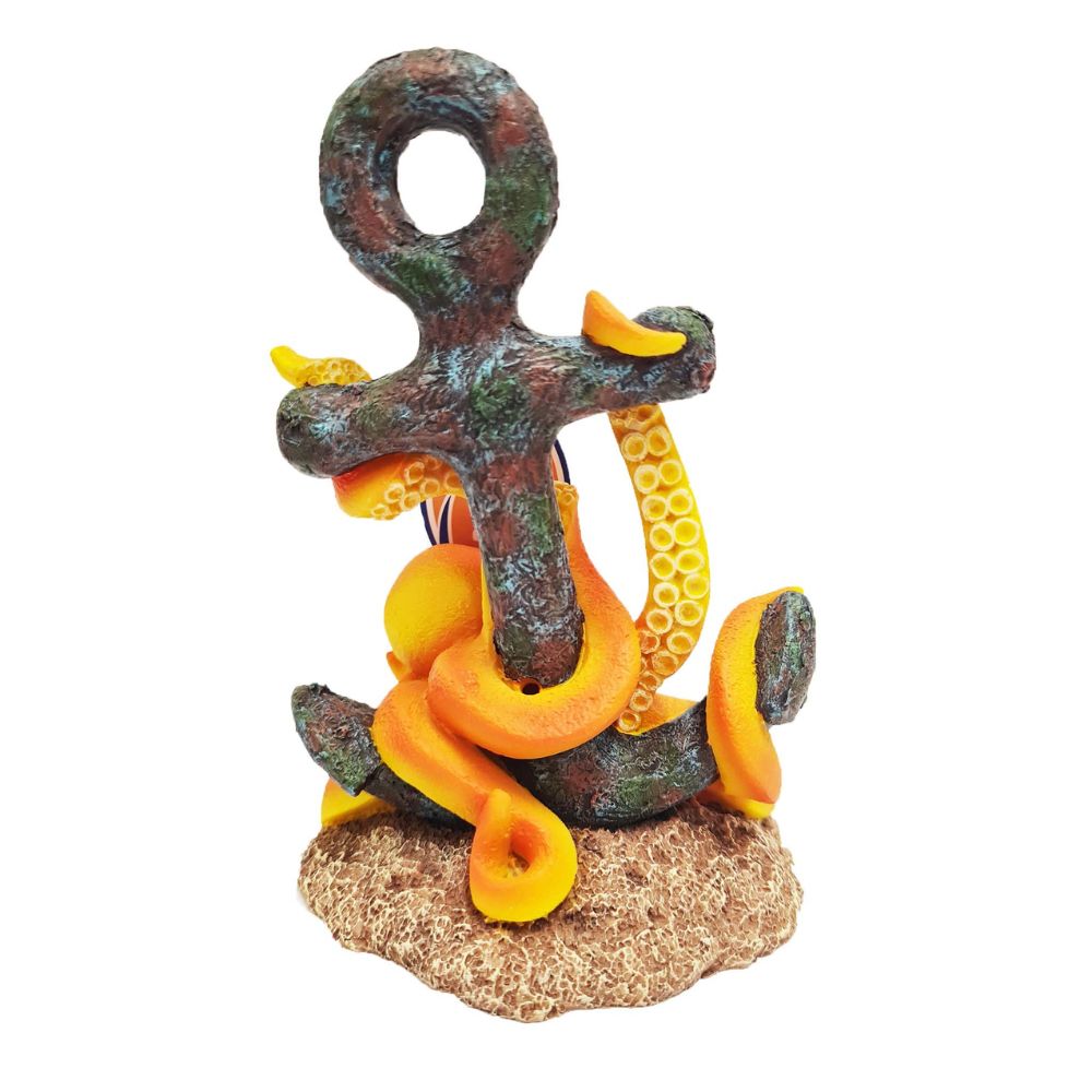 Betta Octopus on Anchor