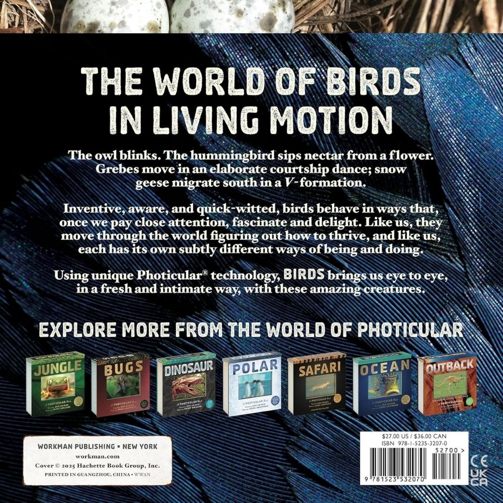 Birds A Photicular Book by Dan Kainen