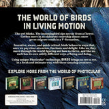 Birds A Photicular Book by Dan Kainen