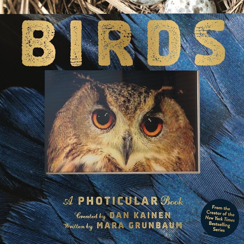 Birds A Photicular Book by Dan Kainen