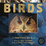 Birds A Photicular Book by Dan Kainen