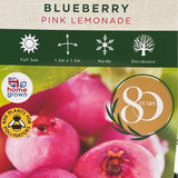 Blueberry 'Pink Lemonade' Fruit Bush - 2Ltr Pot
