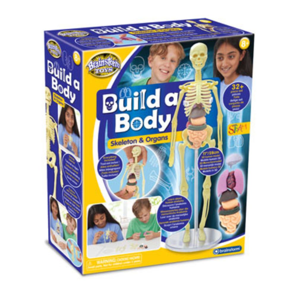 Brainstorm Build a Body