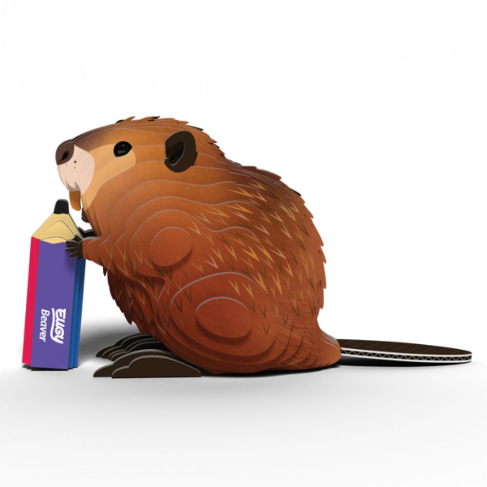 Brainstorm Toys EUGY Beaver 3D Model