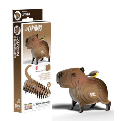 Brainstorm Toys EUGY Capybara 3D Model