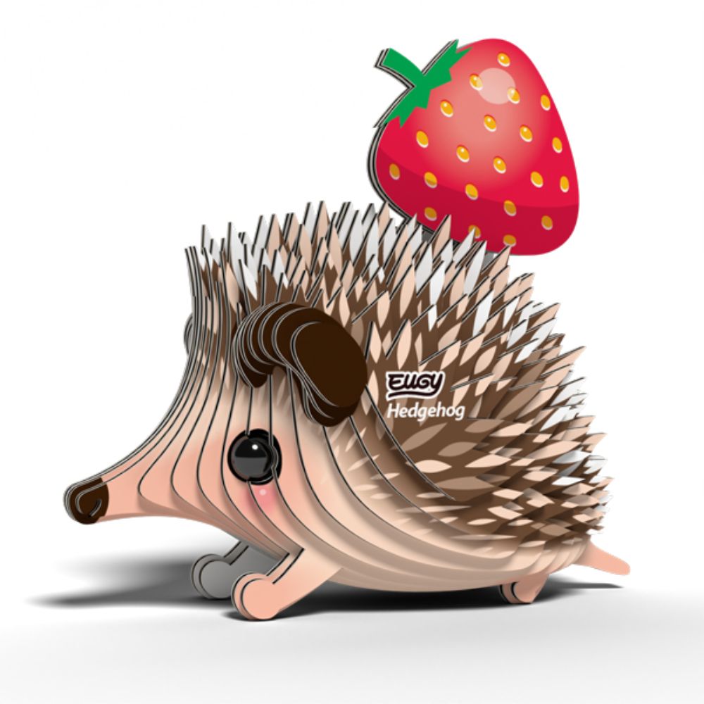 Brainstorm Toys EUGY Hedgehog 3D Model