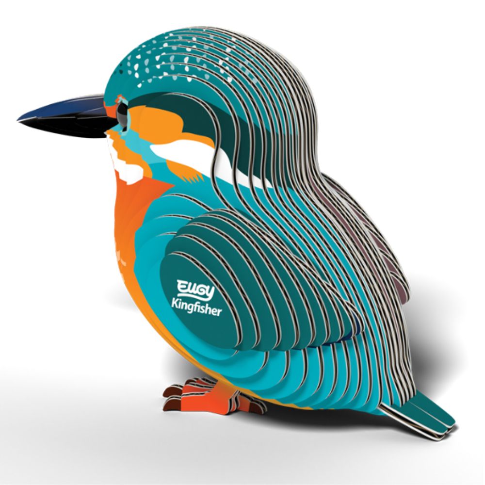 Brainstorm Toys EUGY Kingfisher 3D Model
