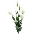 CB Imports 80cm Artificial Flowers Lisianthus Spray With 5 Heads - Ivory - Old Railway Line Garden Centre