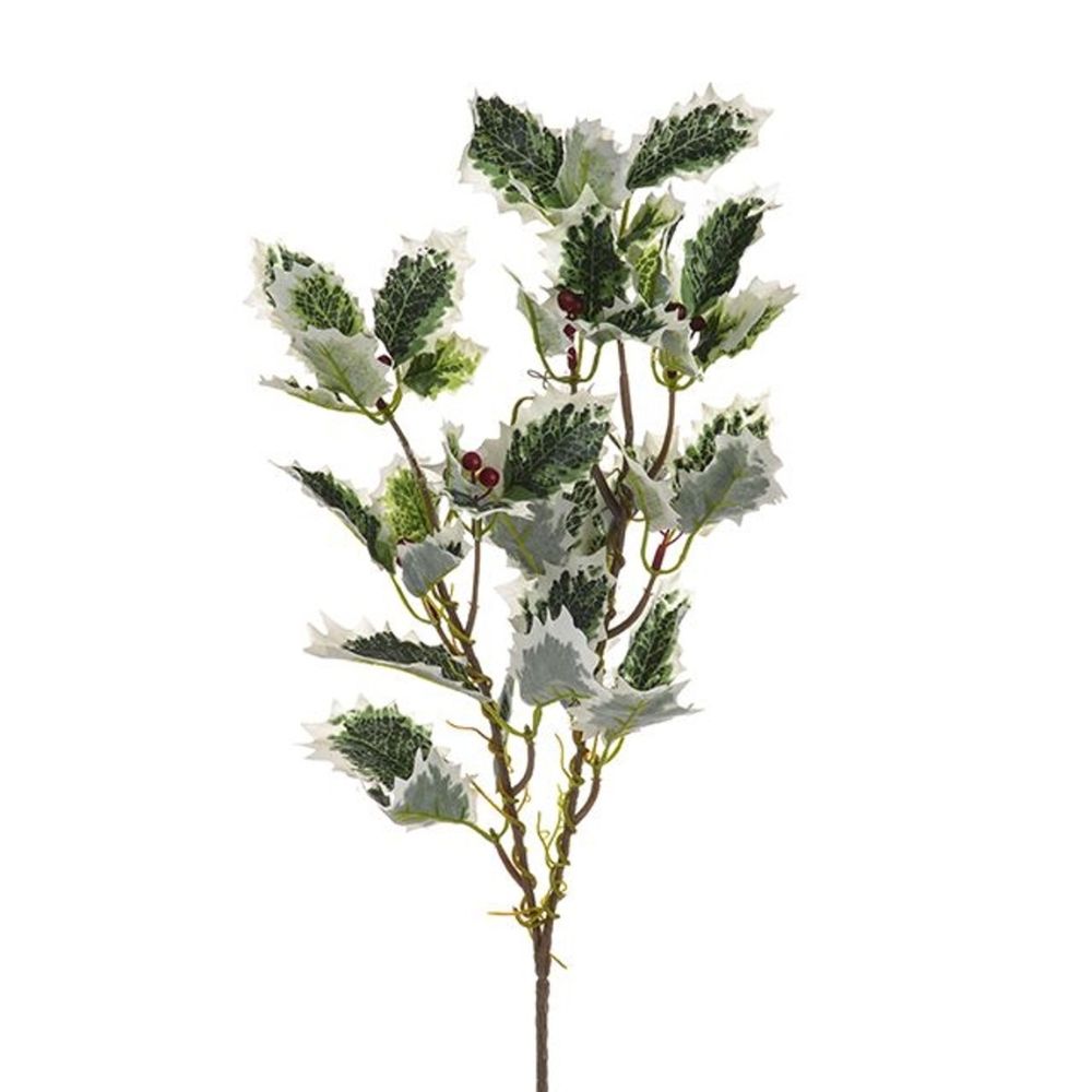 CB Imports Holly Bush Spray