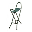 Charles Buyers 38cm Canvas Economy Folding Seat - Green - Old Railway Line Garden Centre