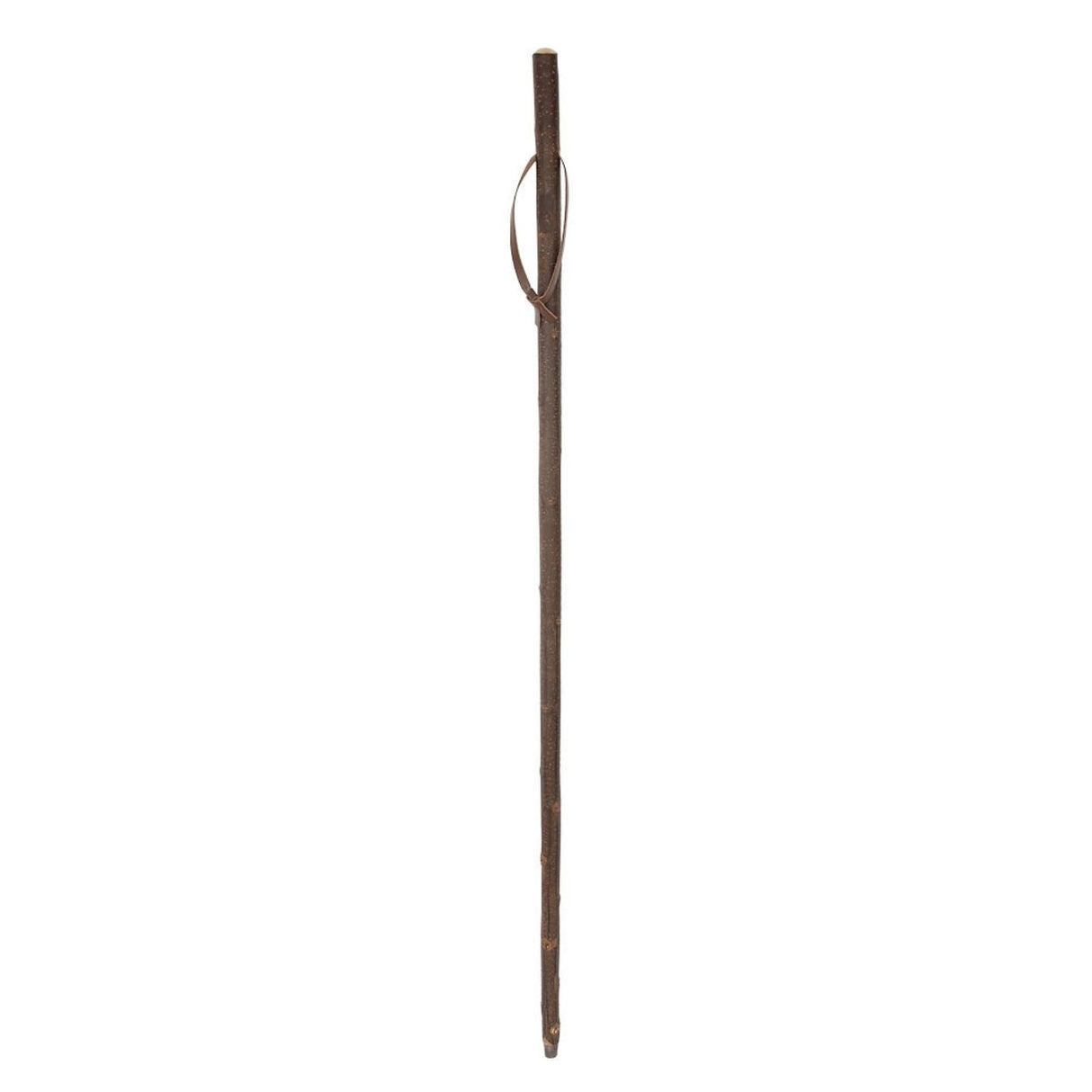 Charles Buyers 50" Natural Chestnut Hiker with Ferrule Walking Stick - Old Railway Line Garden Centre
