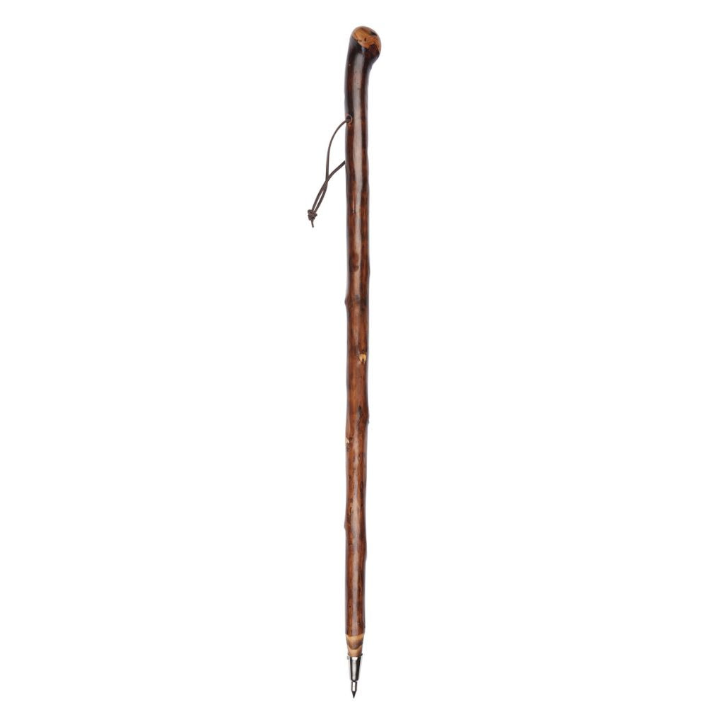 Charles Buyers 94cm Chestnut Knob Stick With Spike Ferrule