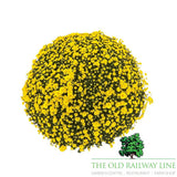 Chrysanthemum Ball Mix Plant - 33cm Pot