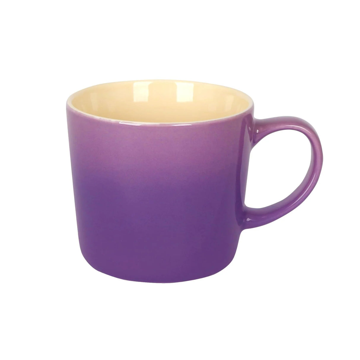 Rinkit 330ml Ombre Mug - Purple
