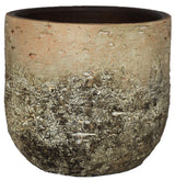 Ivyline 16cm Albero Ceramic Planter