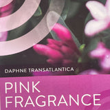 Daphne Transatlantica 'Pink Fragrance' Plant - 2Ltr Pot