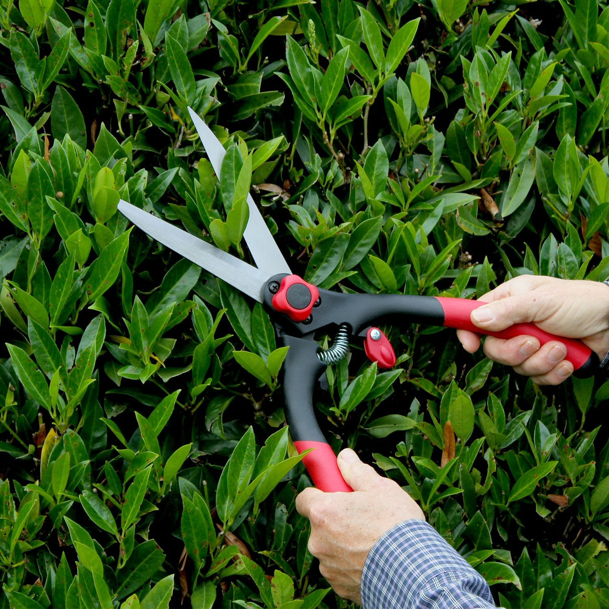 Darlac Classic Lightweight Garden Shears - DP300 - Old Railway Line Garden Centre